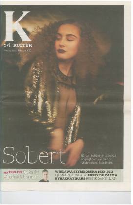 Preview of Svenska Dagbladet