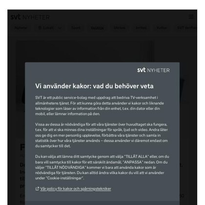 Preview of SVT Nyheter