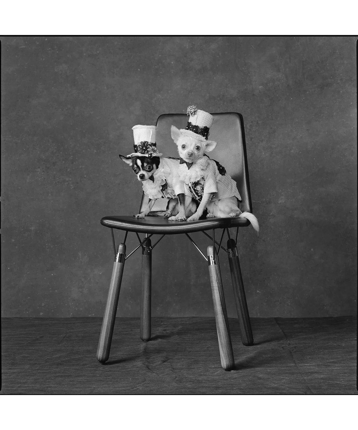 Chair by Alexander Lervik photographed by Mary Ellen Mark