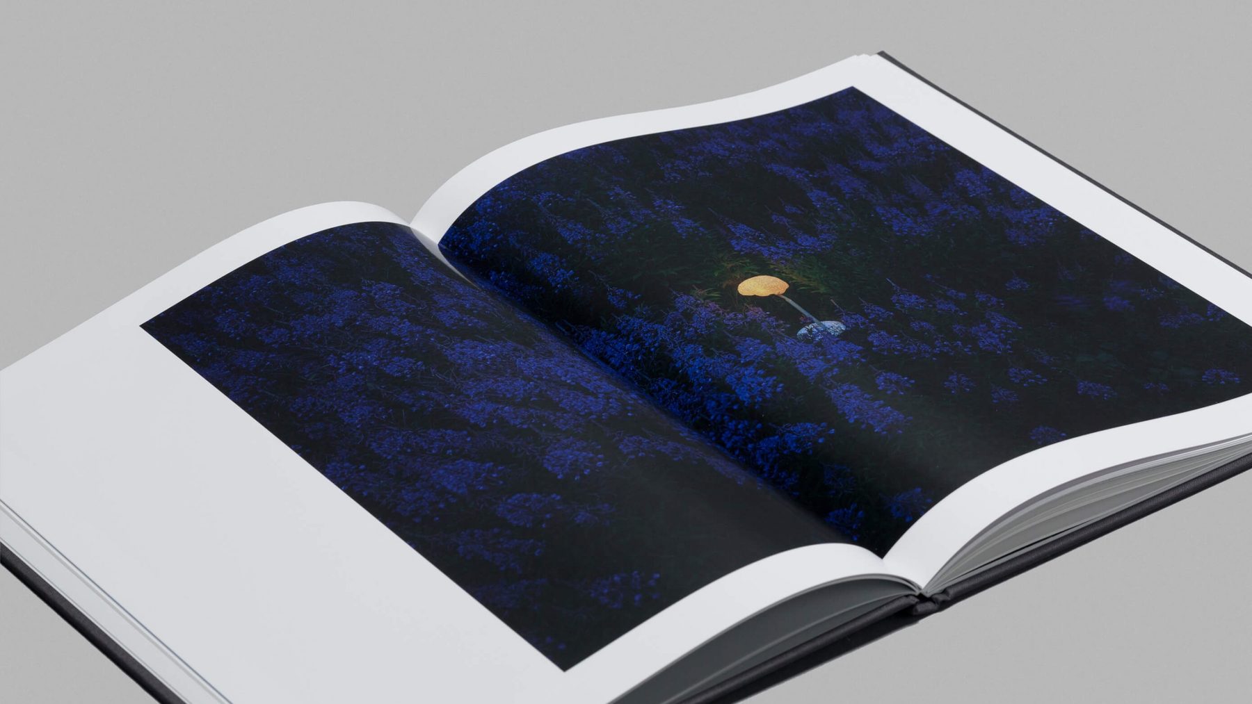 Scandinavian Light Senses by Swedish designer Alexander Lervik