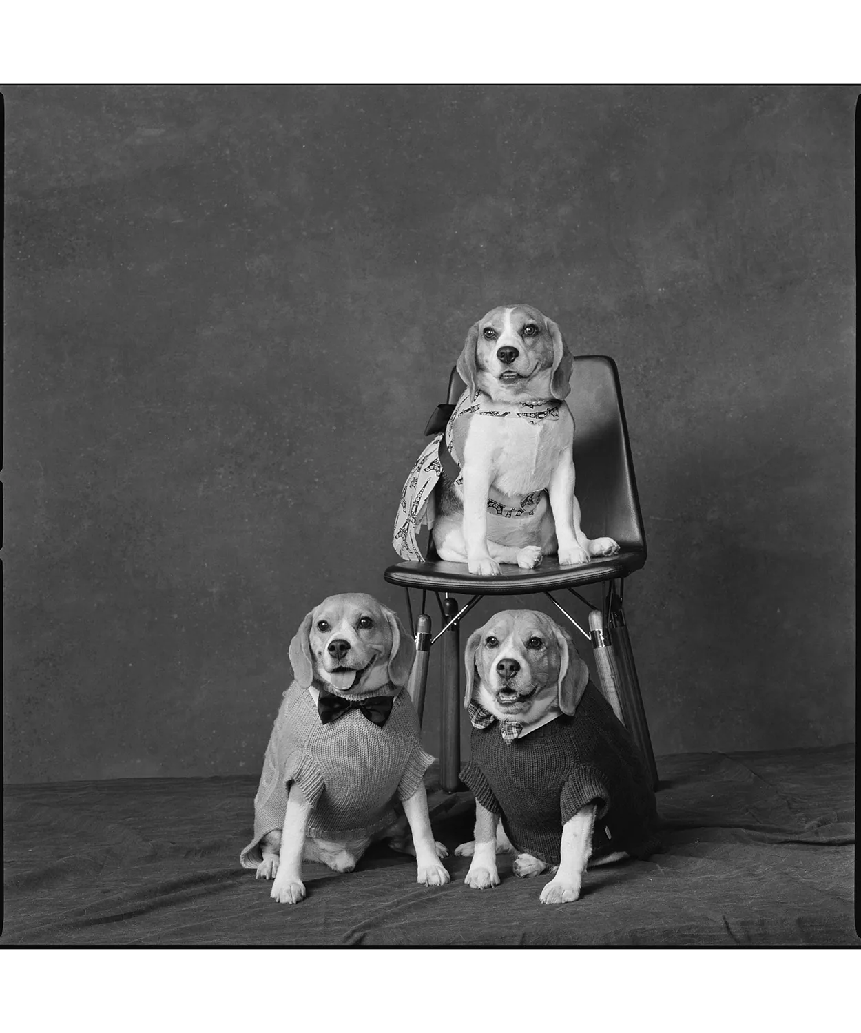 Chair by Alexander Lervik photographed by Mary Ellen Mark
