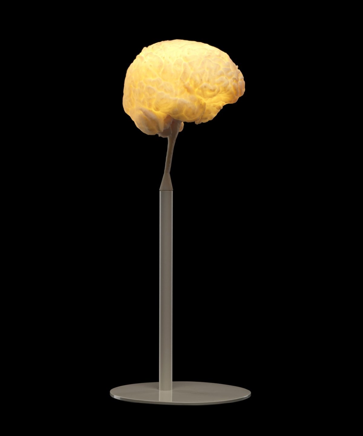 MYBrain illuminated brain lamp
