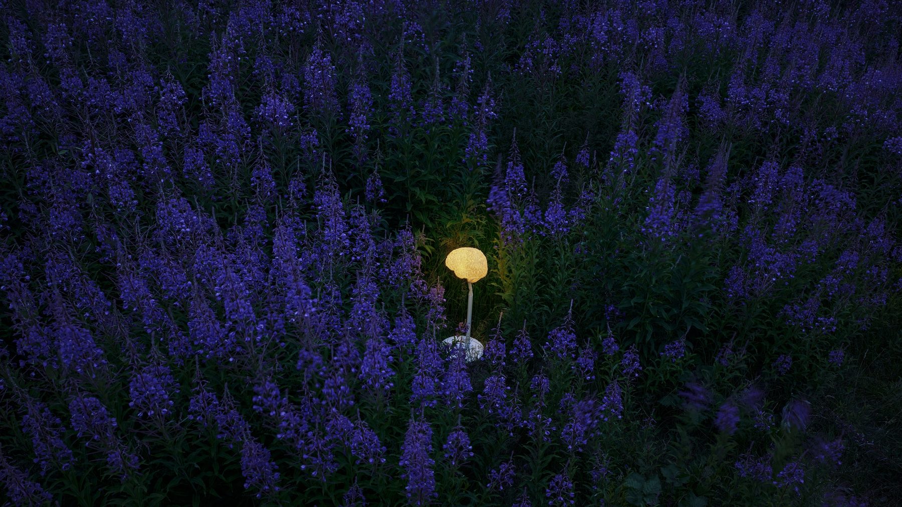 Scandinavian Light Senses by Swedish designer Alexander Lervik