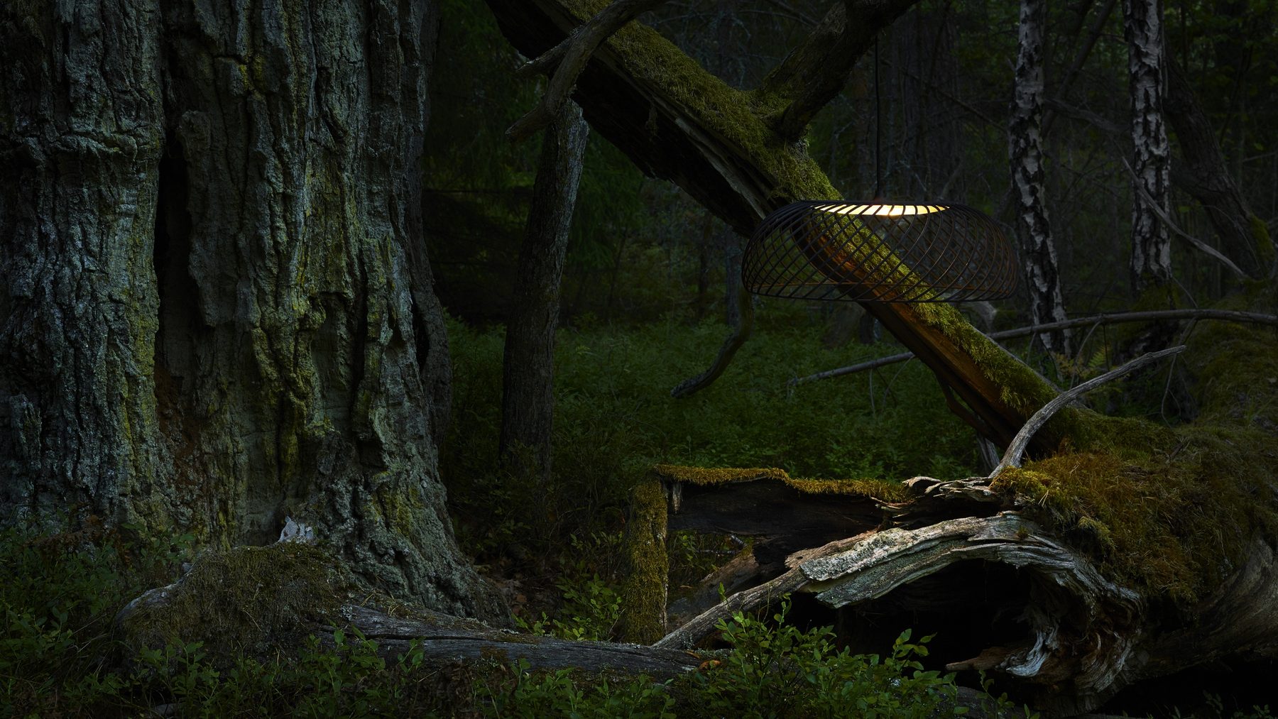 Scandinavian Light Senses by Swedish designer Alexander Lervik